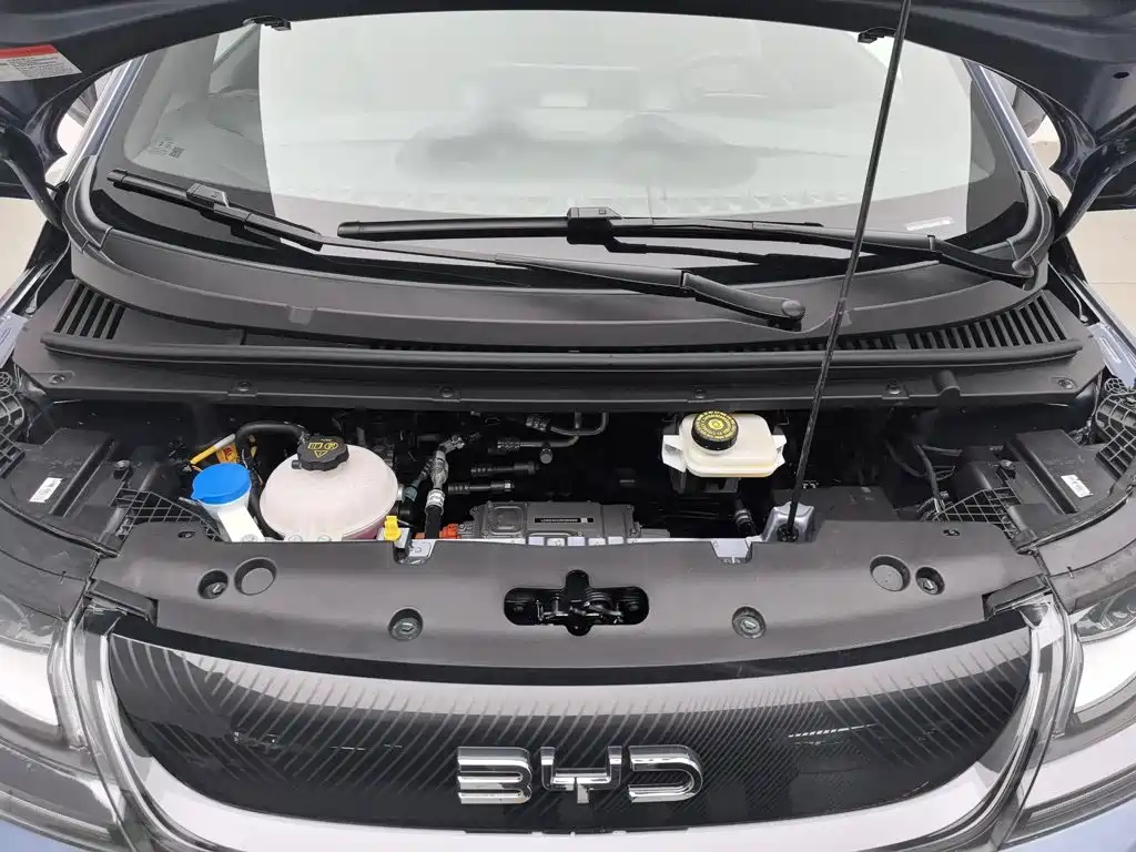 BYD Dolphin 2026 2025 420km Freedom Edition