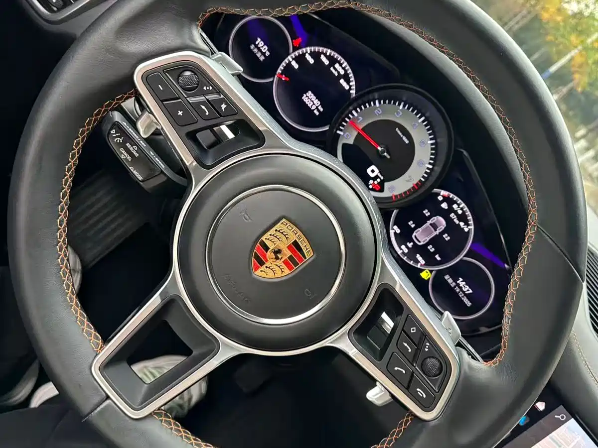Porsche Cayenne 2022 Cayenne 3.0T Platinum Edition фото 9