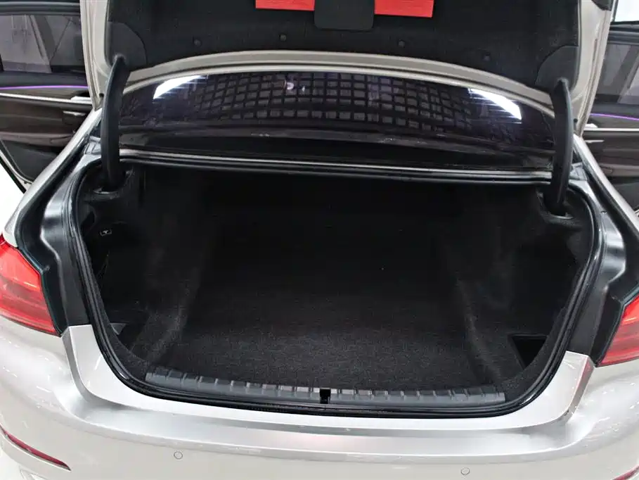 BMW 5 Series 2018 530Li Leading Luxury Package фото 14