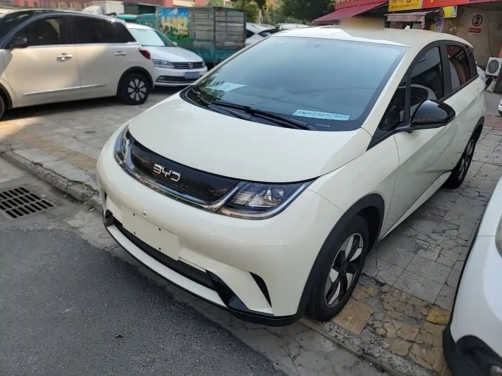 2026 BYD Dolphin