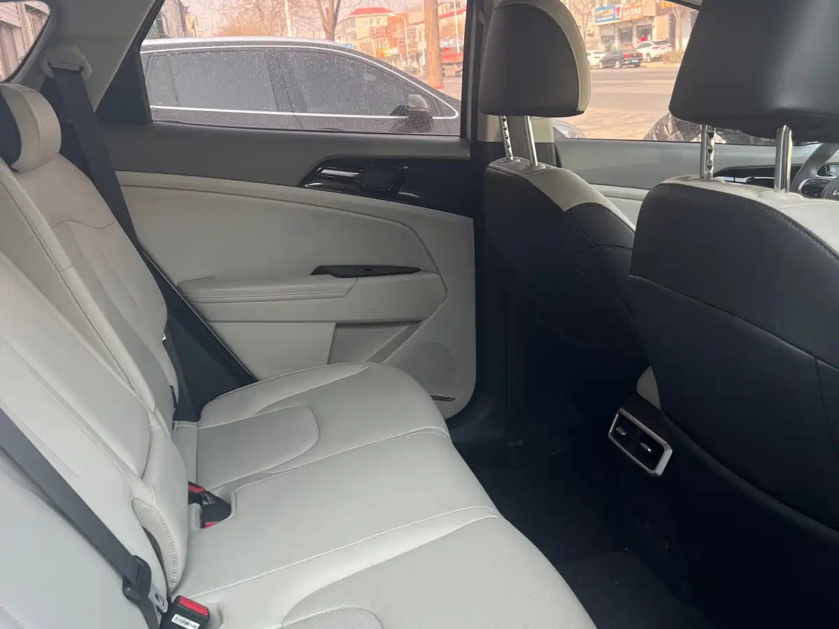 KIA LION PLATINUM EXPANDS THE WORLD