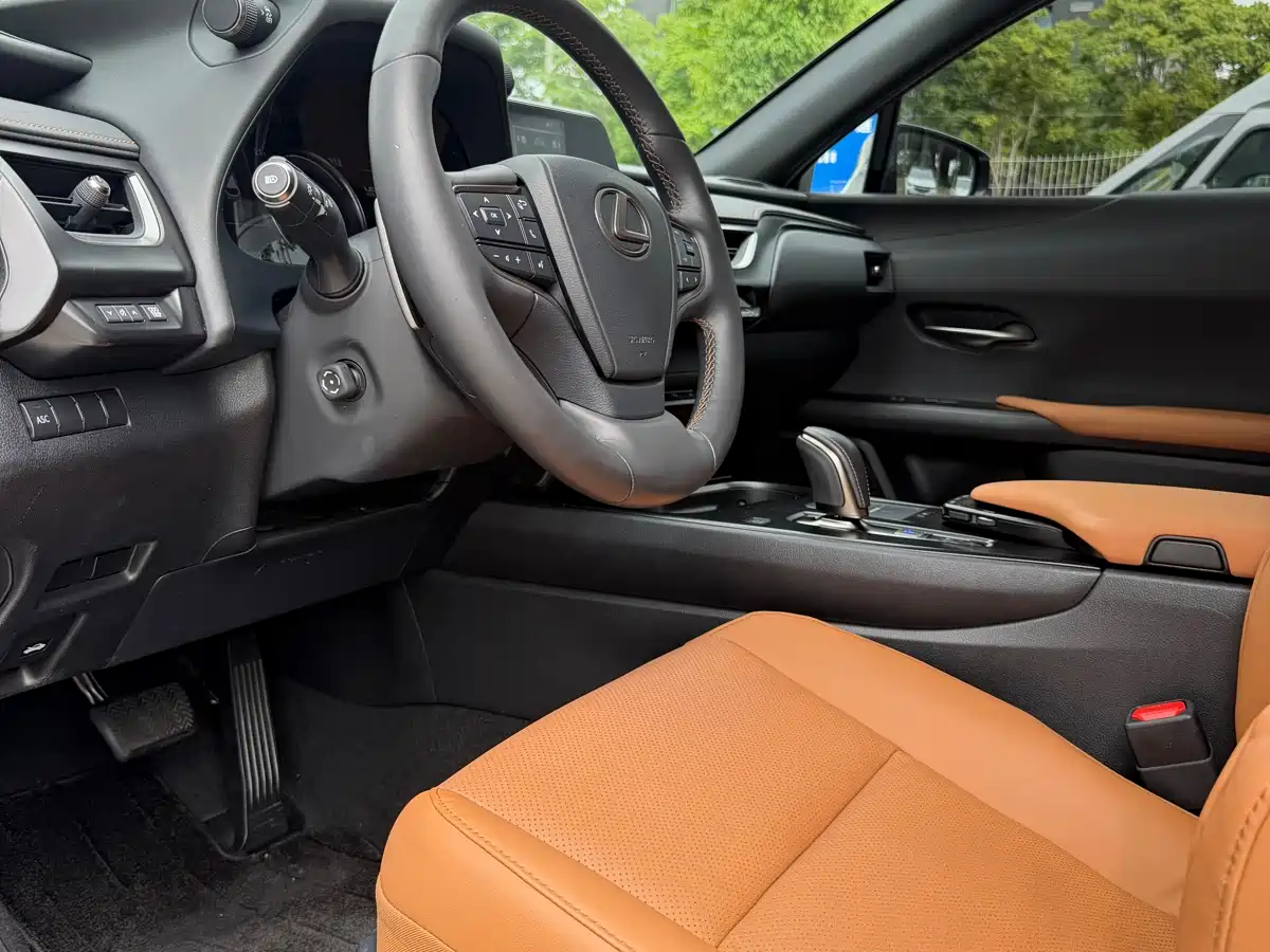Lexus UX Electric 2020 300e Pure Yue Edition фото 4
