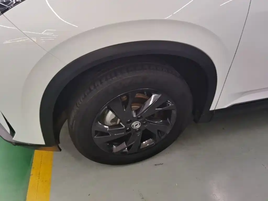 Dongfeng Aeolus SKY EV01 2024 2024 445km PRO