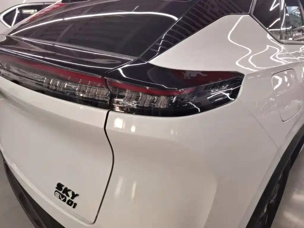 Dongfeng Aeolus SKY EV01 2024 2024 445km PRO