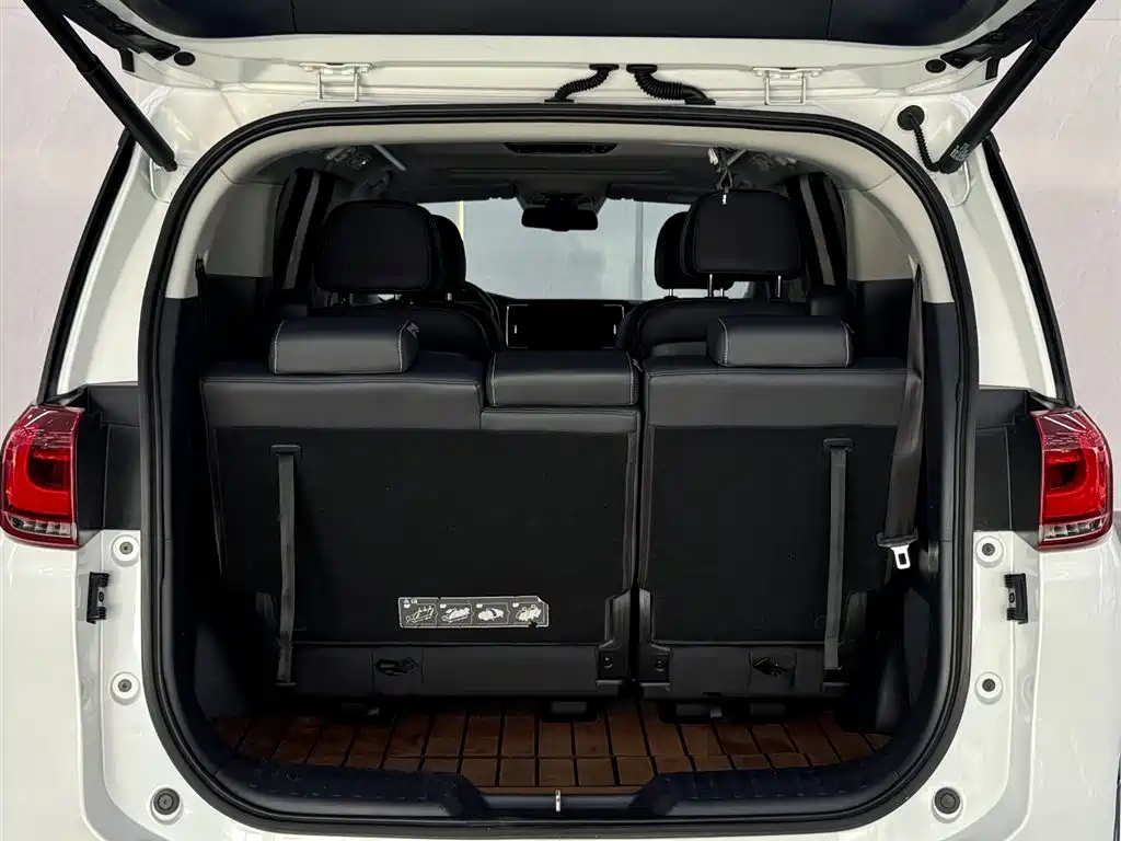 GAC Trumpchi Trumpchi M8 2021 Leading Show Series 390T Ultimate Edition фото 6