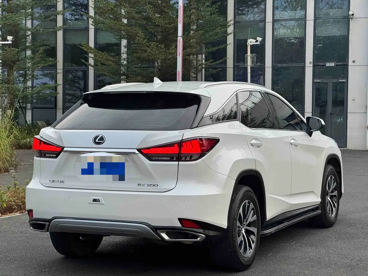 Lexus RX 2020 Facelift 300 2WD Elite Edition фото 8