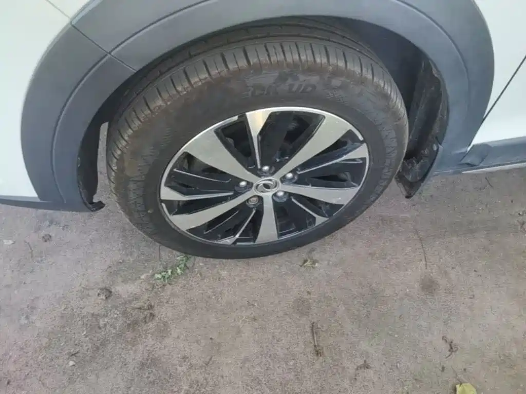 Photo 23 - Dongfeng Fengxing Jingyi X6