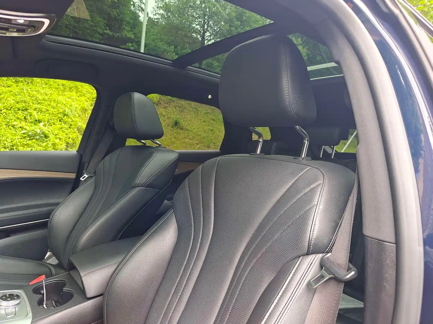 Denza X 2020 PHEV Classic Edition фото 13