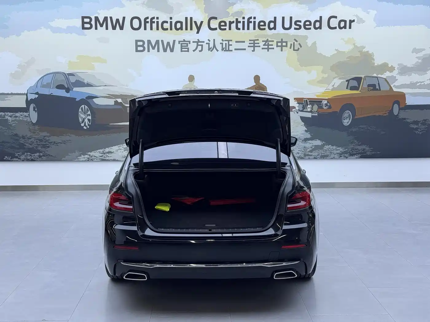 BMW 5 SERIES NEW ENERGY