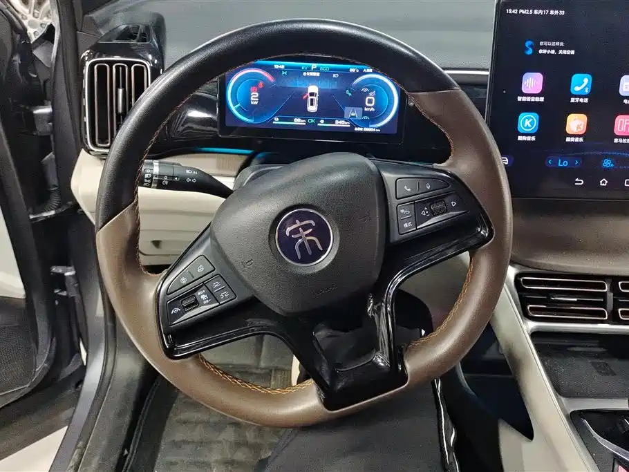 BYD Song Pro New Energy 2023 Champion Edition DM-i 110KM Excellence фото 15