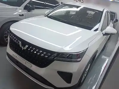 Wuling Alvez