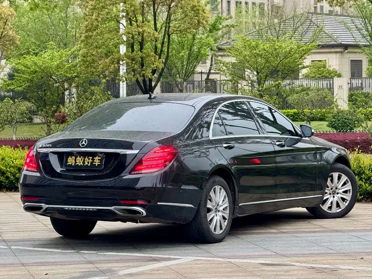 Mercedes-Benz S-Class 2019 S 320 L фото 7