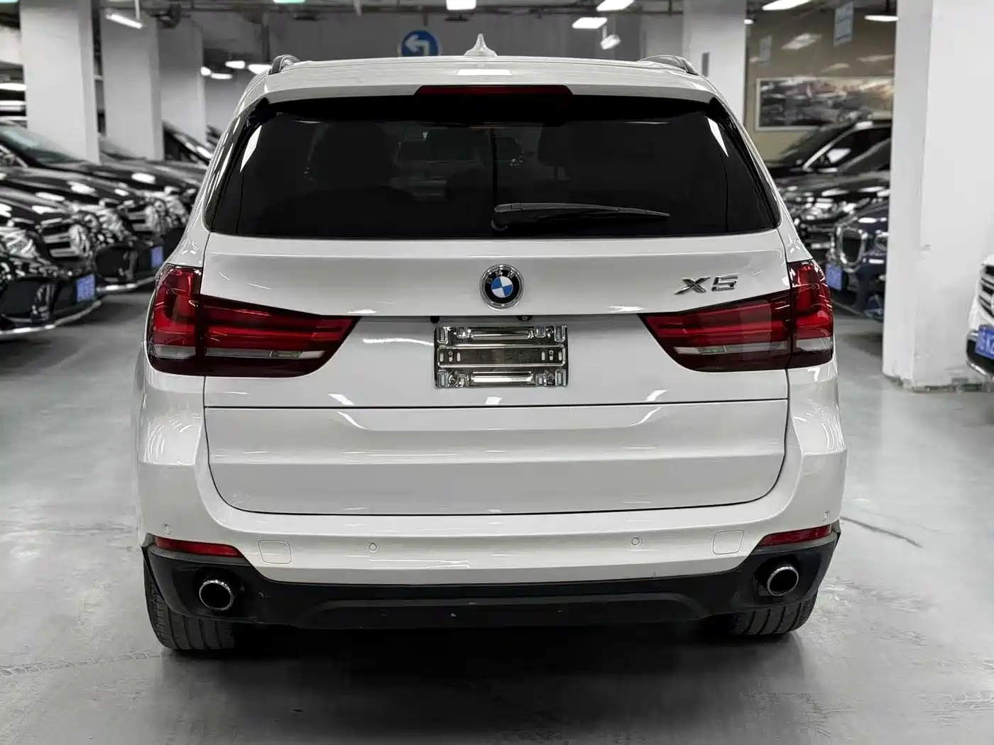 BMW X5 (Import) 2014 xDrive35i Luxury фото 13