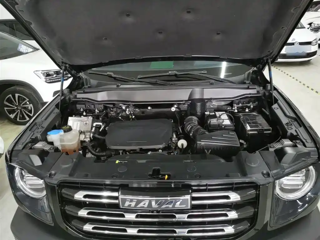Haval Big Dog 2022 1.5T DCT FWD Border Collie Edition фото 20