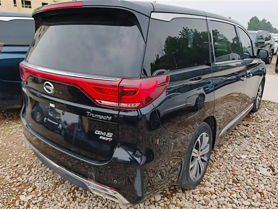 GAC Trumpchi Trumpchi M8 2020 Pilot 390T Prestige Edition фото 3
