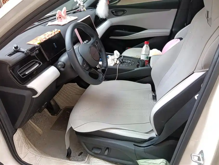 BYD Seal 06 New Energy 2024 DM-i 80KM Prestige фото 9