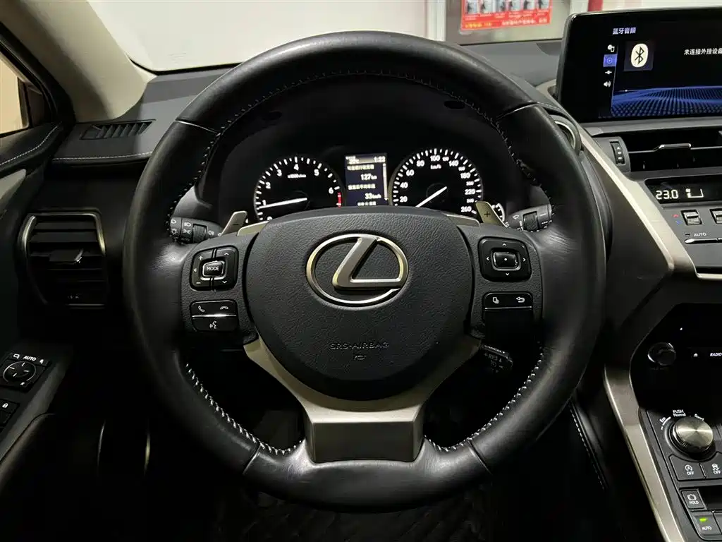 Lexus NX 2018 Model 200 FWD Fengxing Edition China V фото 13