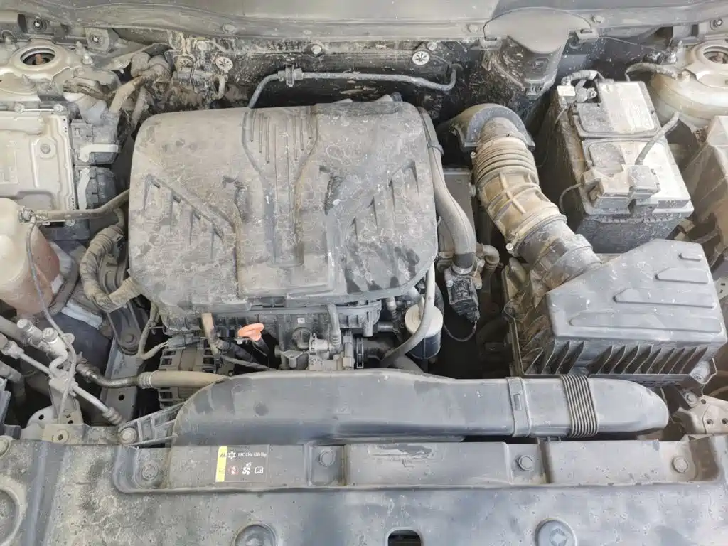 Haval Dargo 2021 2021 2.0T DCT 4WD Chinese Rural Dog Edition