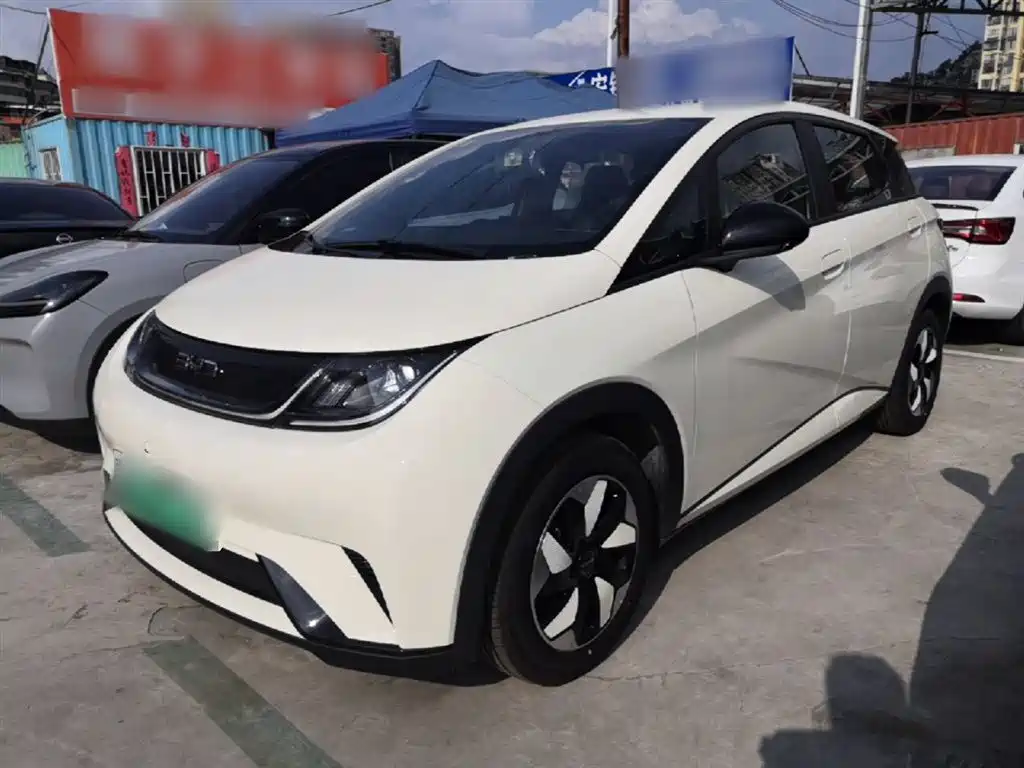 BYD Dolphin 2025 420km Freedom Edition