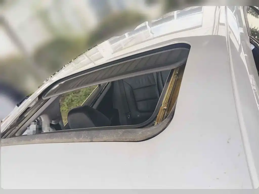 صورة 6 - Volkswagen Sagitar