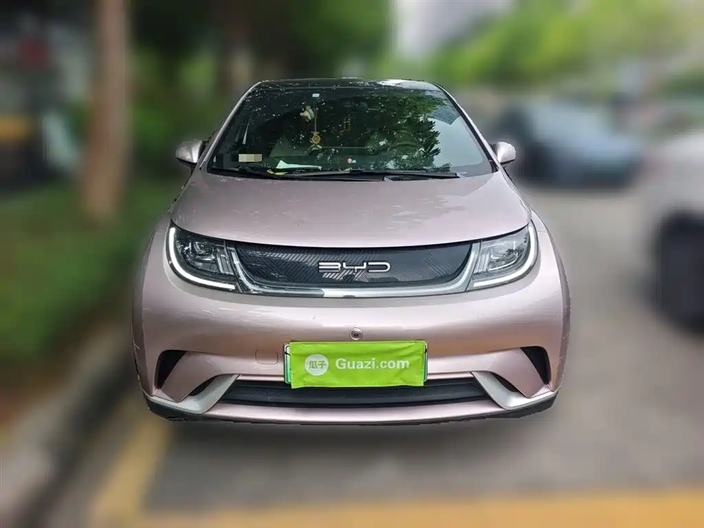 BYD Dolphin 2021 Model 405km Fashion Edition фото 2