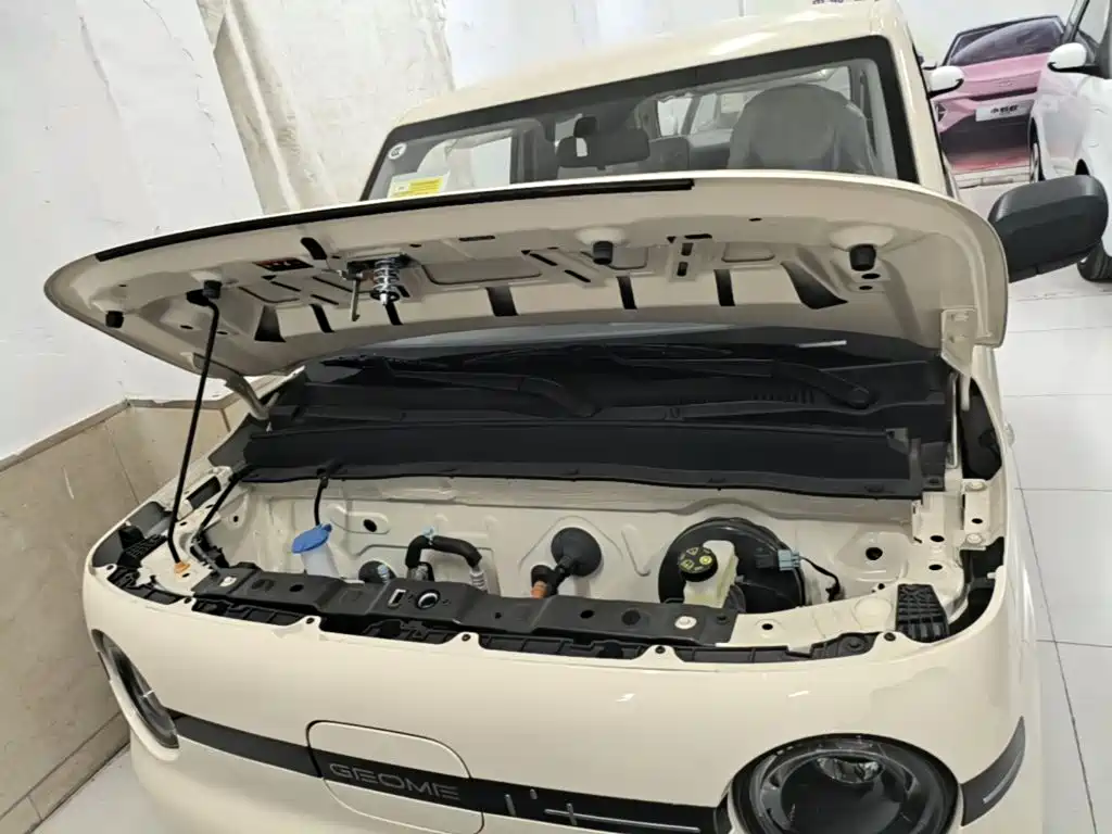 Geely Galaxy Panda 2026 2025 Panda mini 210km Vitality Bear