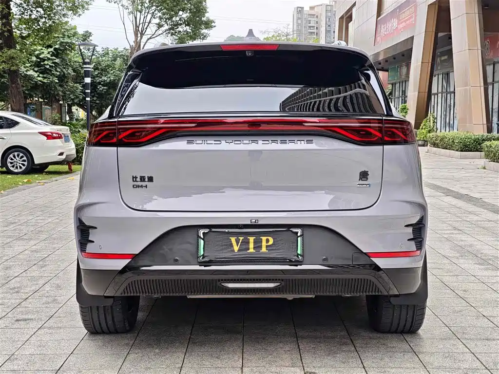 BYD Tang New Energy 2025 Smart Driving Edition DM-i 115KM Flagship фото 16