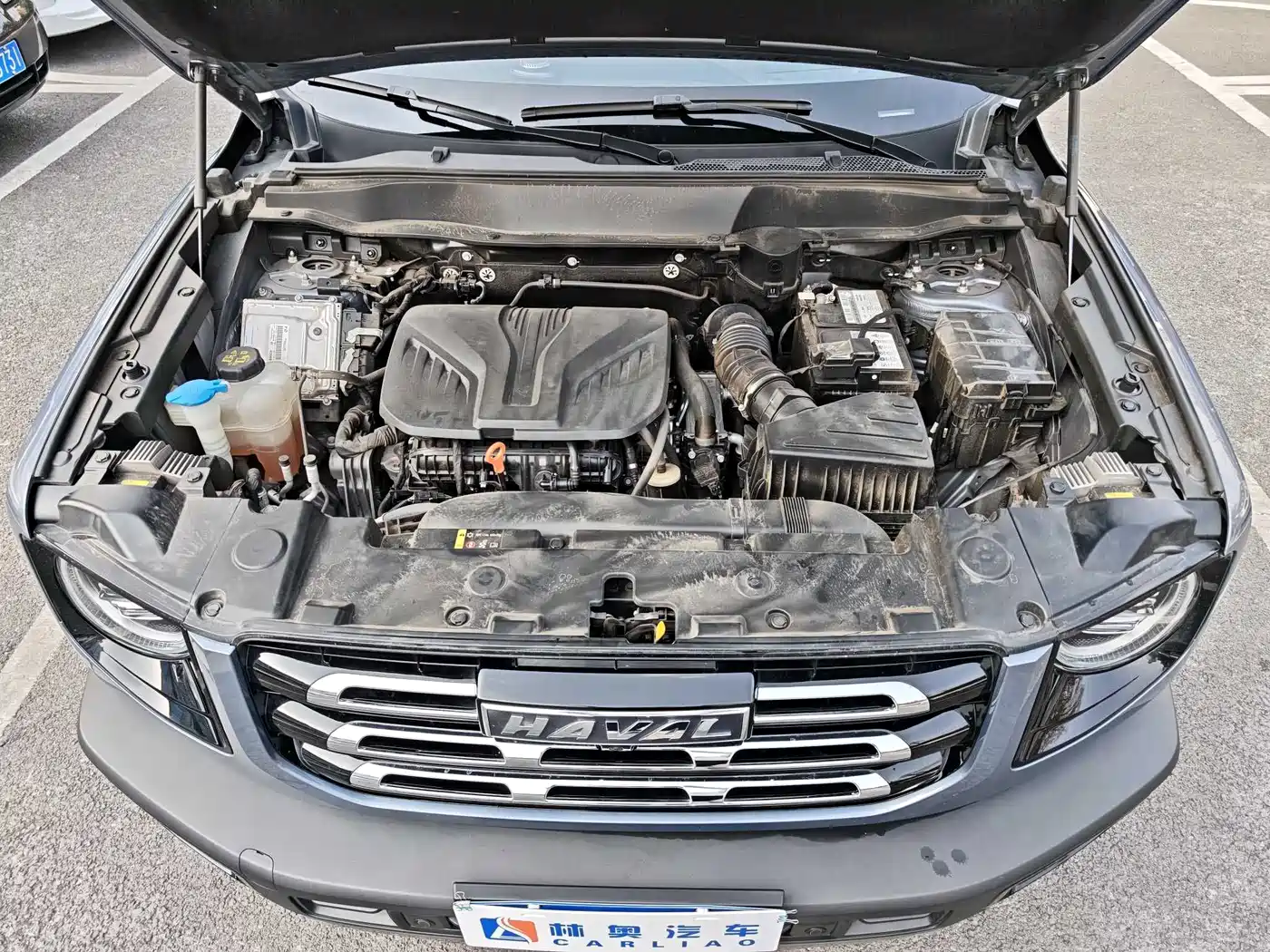 Haval Big Dog 2022 2.0T DCT AWD Howling Celestial Dog Edition фото 27