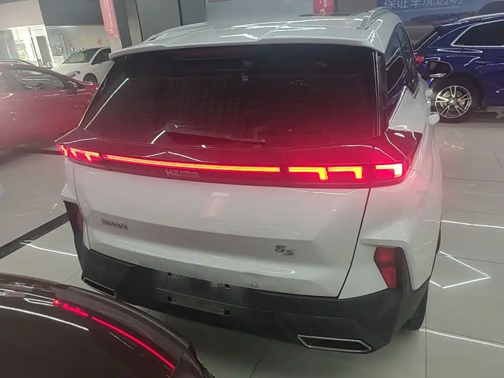 Фото 6 - Haima 8S