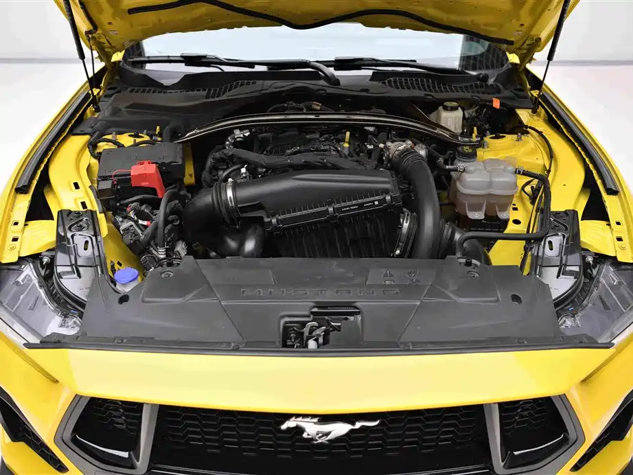 Ford Mustang 2024 2024 2.3T EcoBoost Convertible Sport Edition