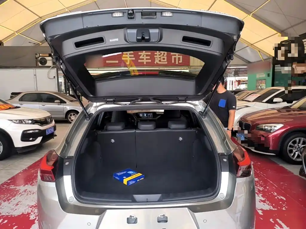 Lexus UX Electric 2022 2020 300e Pure Yue Edition