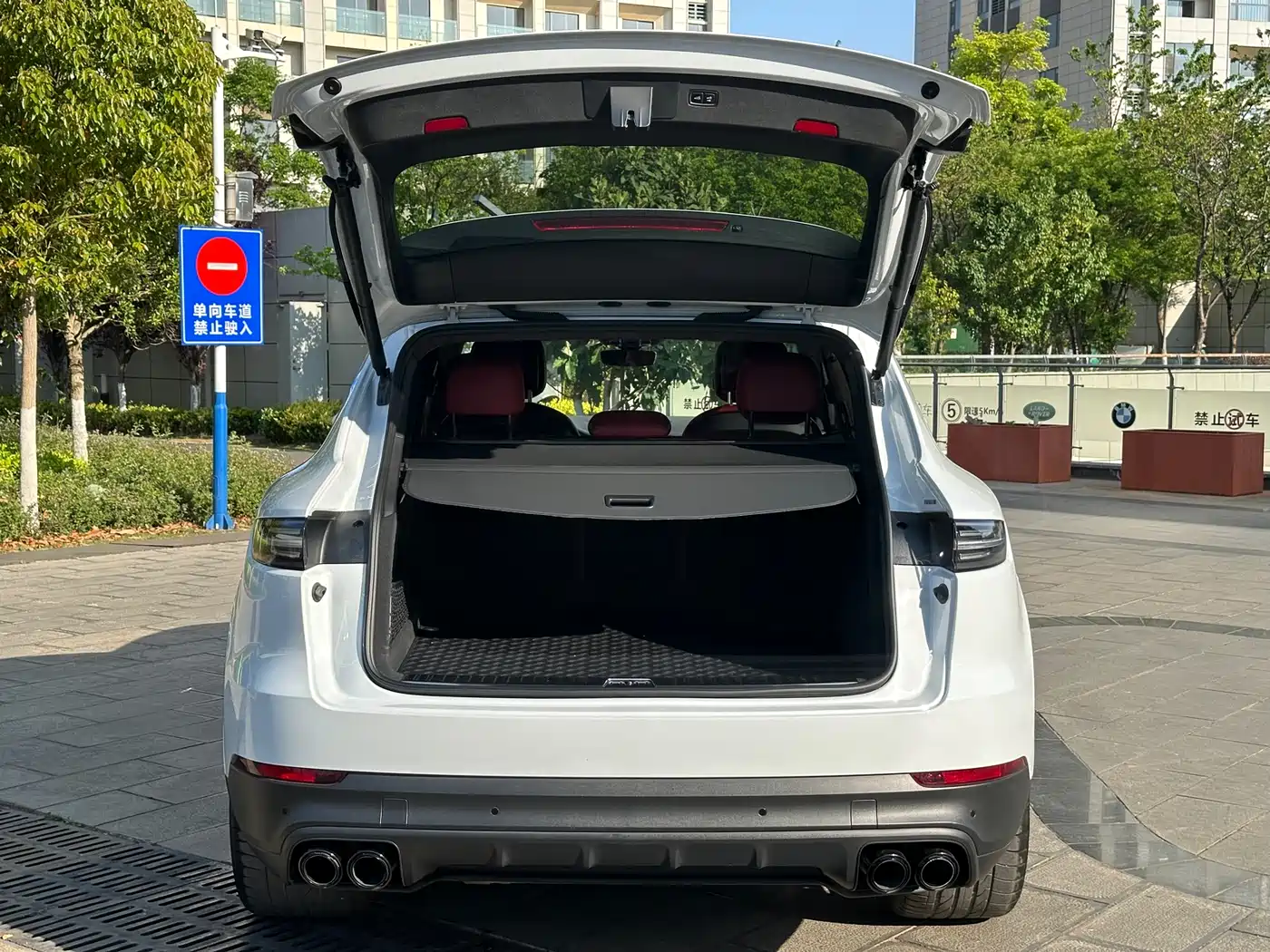 Porsche Cayenne 2023 Cayenne 3.0T Platinum Edition фото 26
