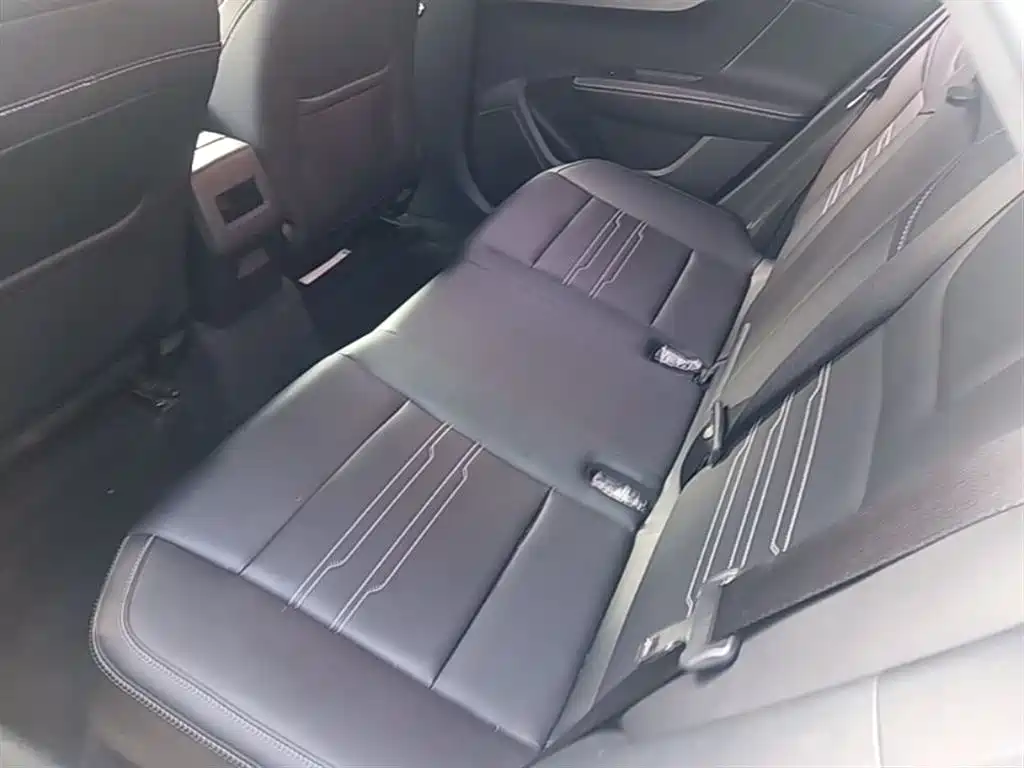 BYD Qin New Energy 2019 Long Range Luxury Edition фото 17