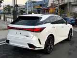 Фото 13 - Lexus RX