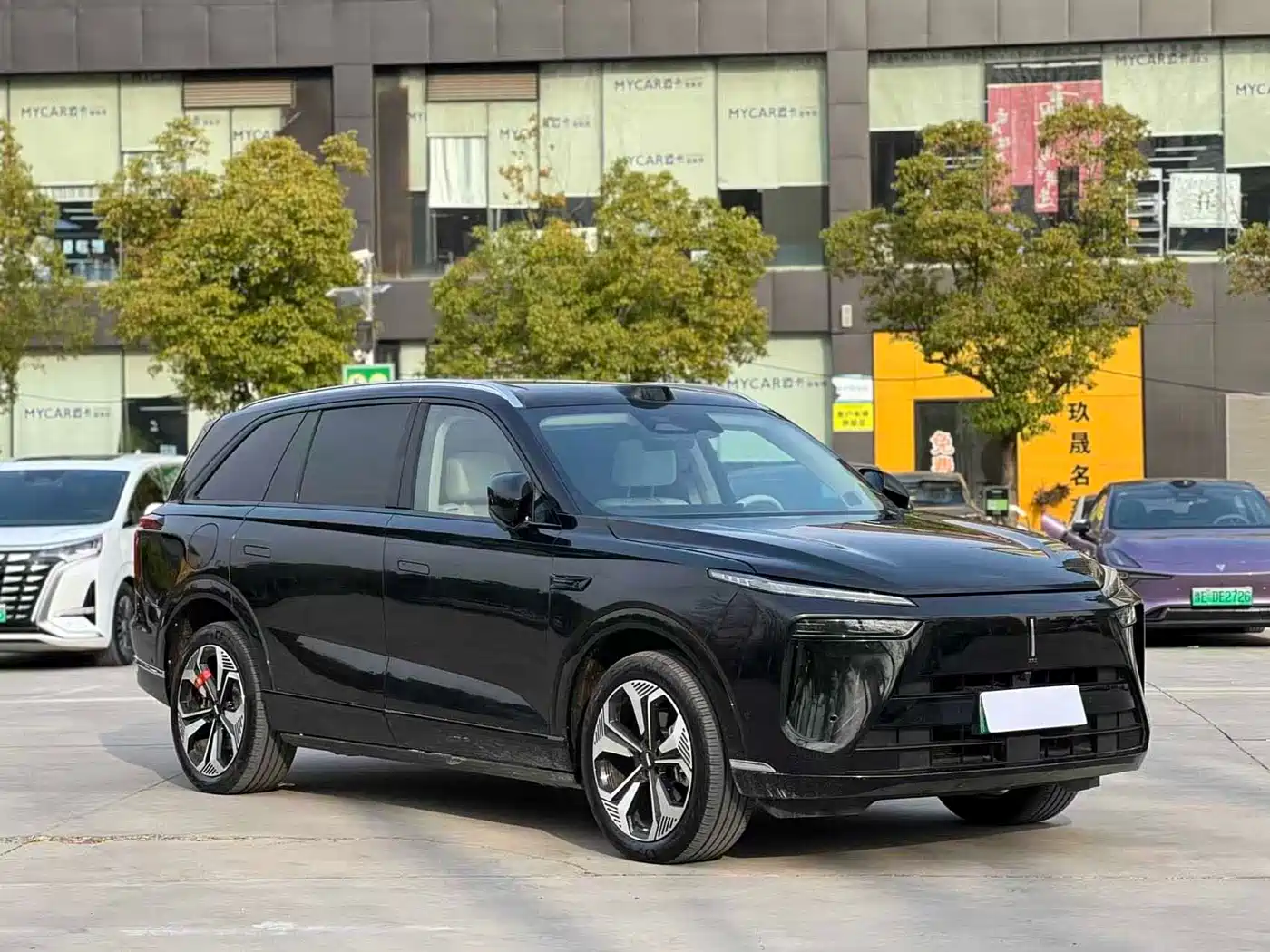 WEI PAI WEI BRAND BLUE MOUNTAIN