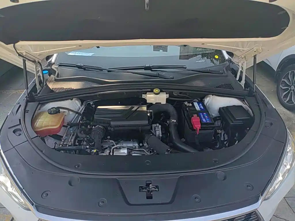BYD Song PLUS 2021 2020 1.5T Auto Flagship PLUS