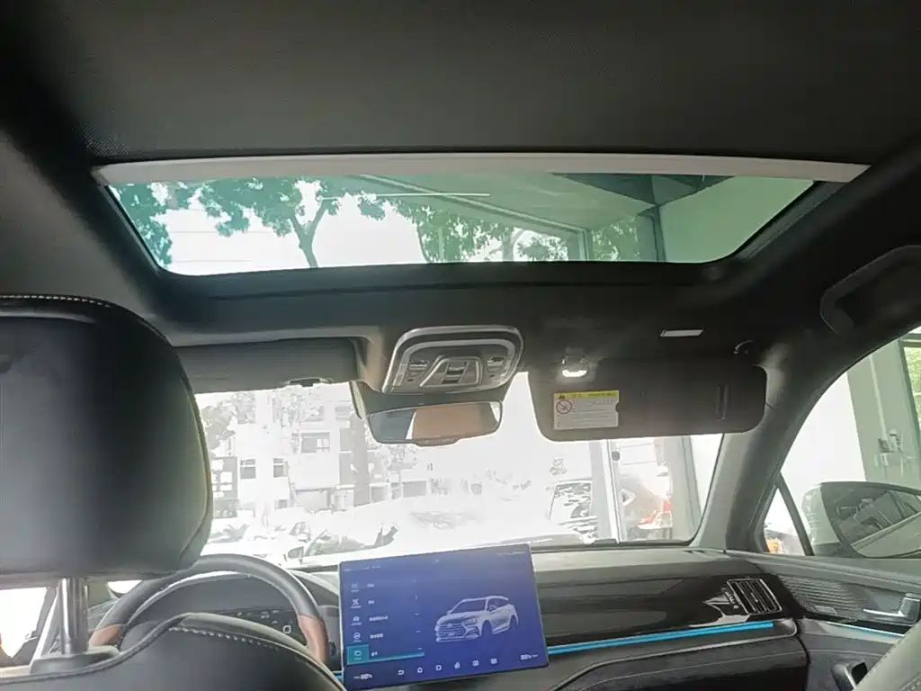 BYD Tang New Energy 2021 DM 2.0T AWD High Performance Premium фото 18