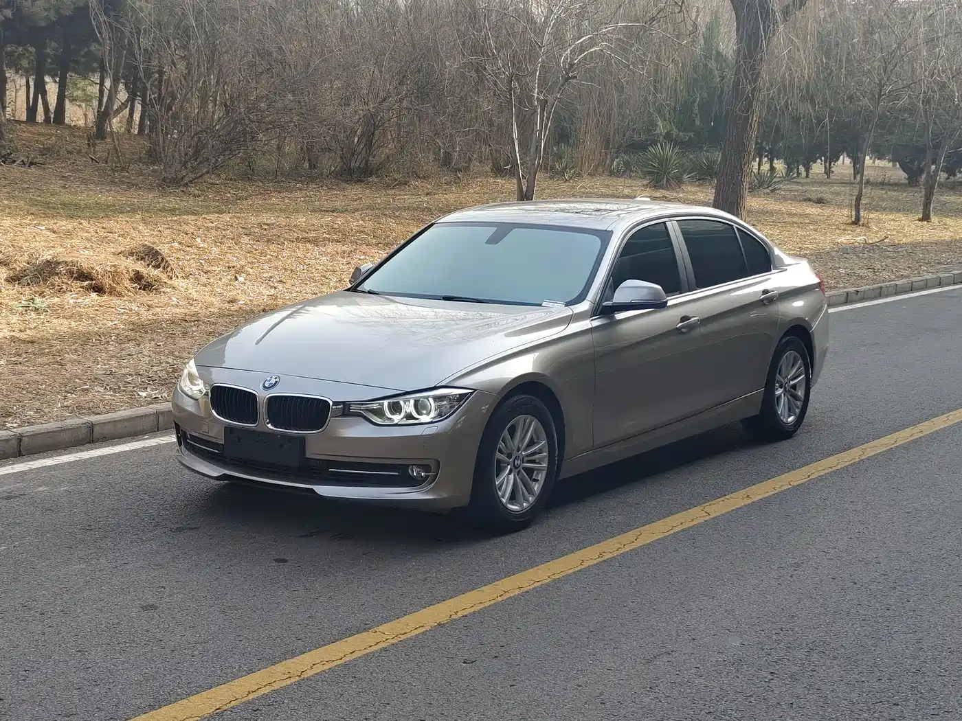 BMW 3 Series 2015 320Li Super Joy Fashion