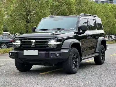 Tank 300