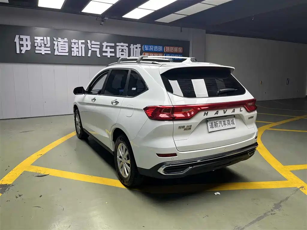 HAVAL M6