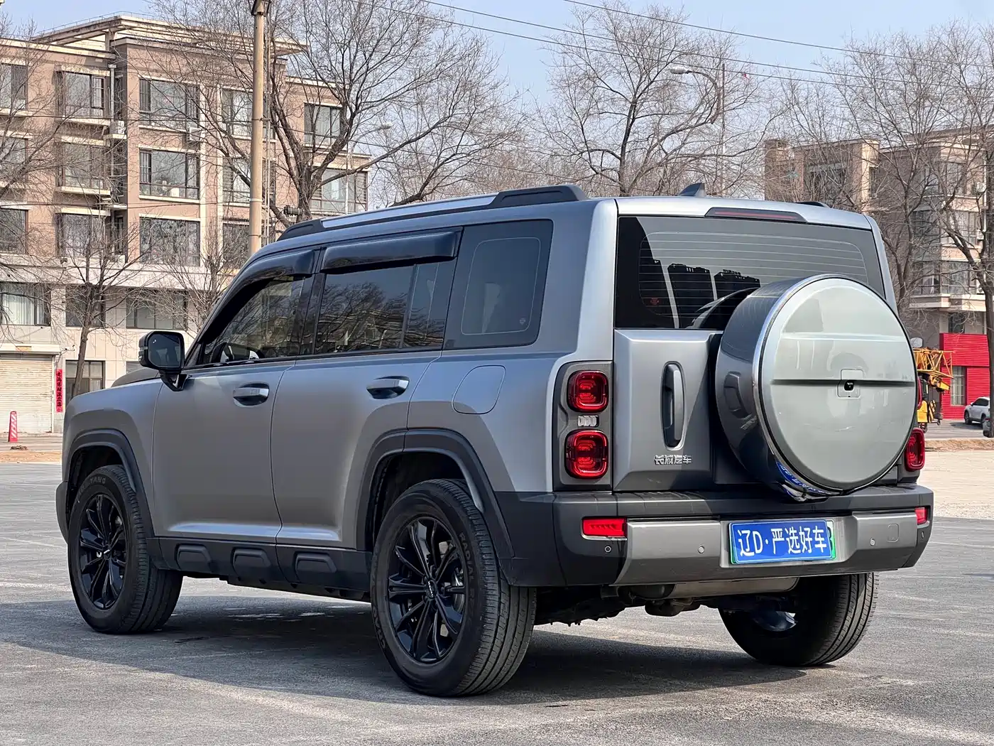 Haval Meng Long NEV 2024 Hi4 145 Pro фото 6