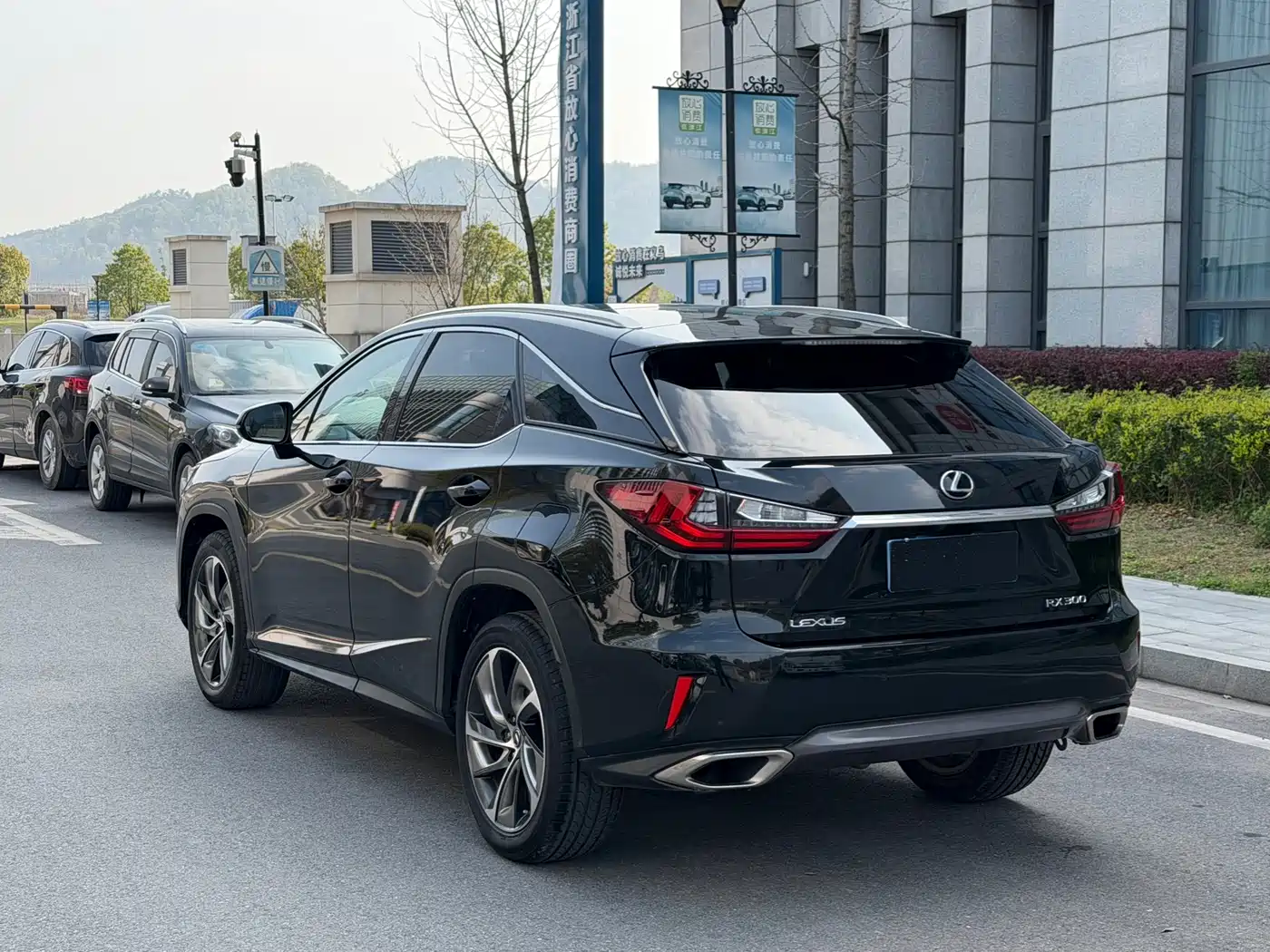 LEXUS RX