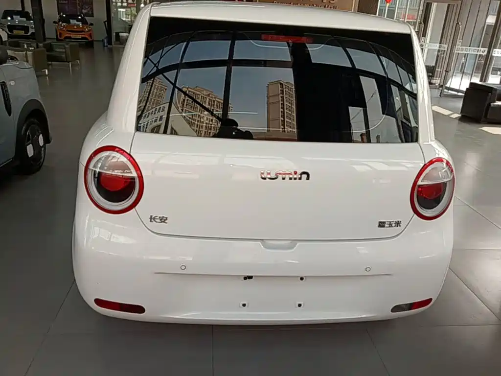 Фото 6 - Changan Lumin