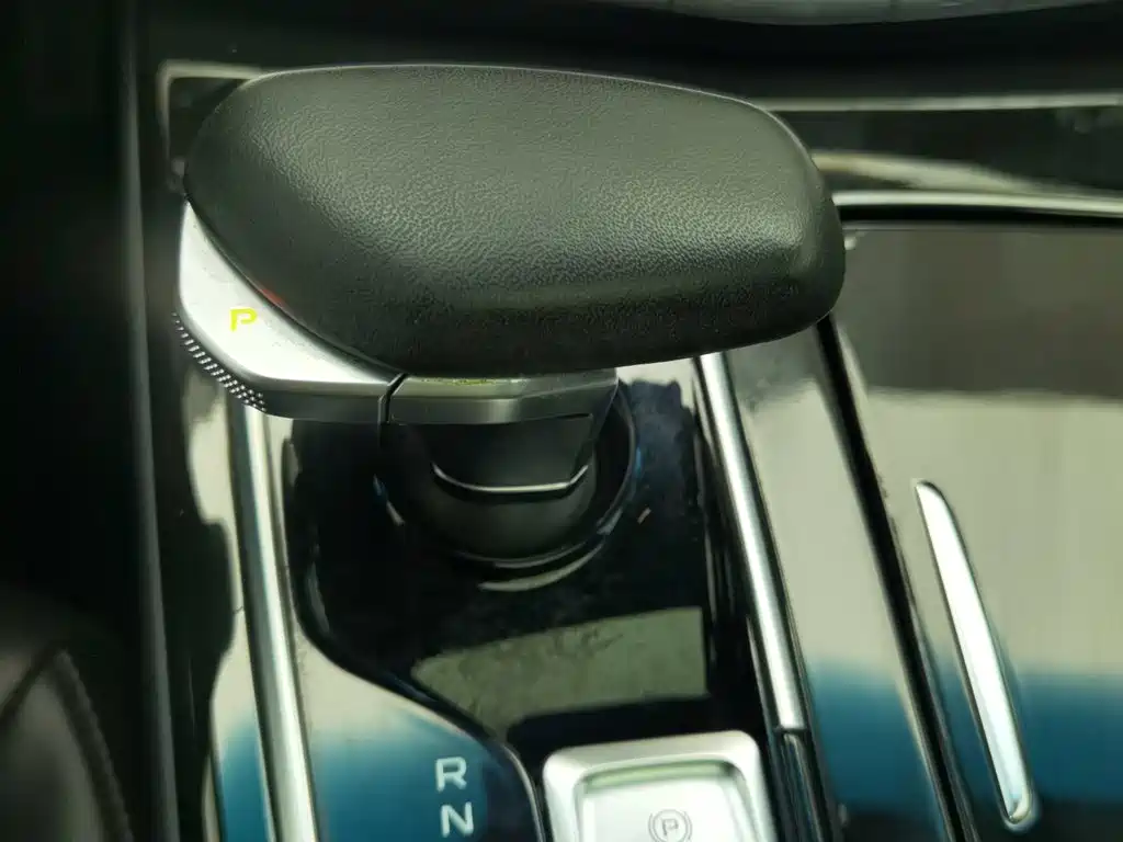 Geely Borui 2020 2021 1.8T Pilot Edition+