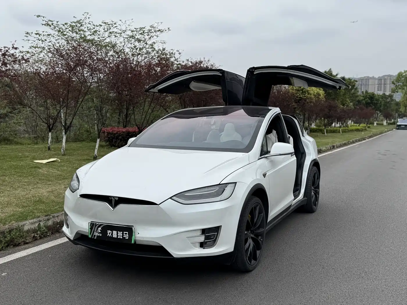 TESLA MODEL X
