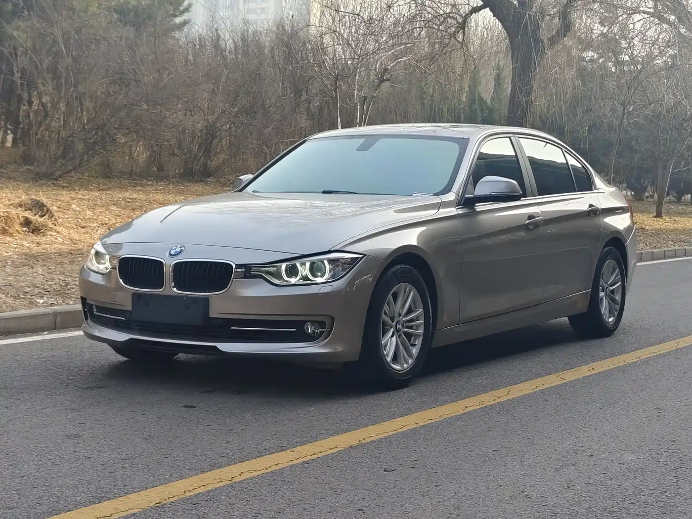 BMW 3 Series 2015 320Li Super Joy Fashion фото 6