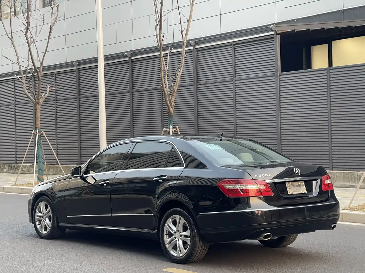 Mercedes-Benz E-Class 2010 E 300 L Fashion фото 5