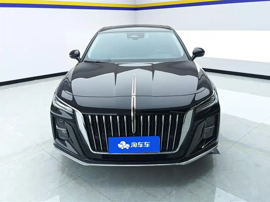 Hongqi H5 2024 2.0T Automatic Smart Connect Flag Smooth Edition фото 2
