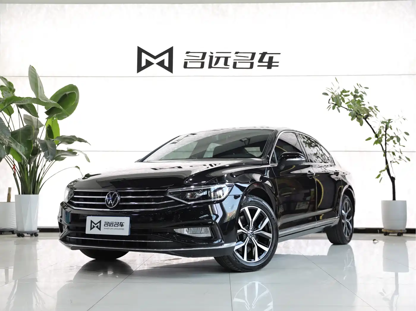 Volkswagen Magotan 2020 330TSI DSG Leading