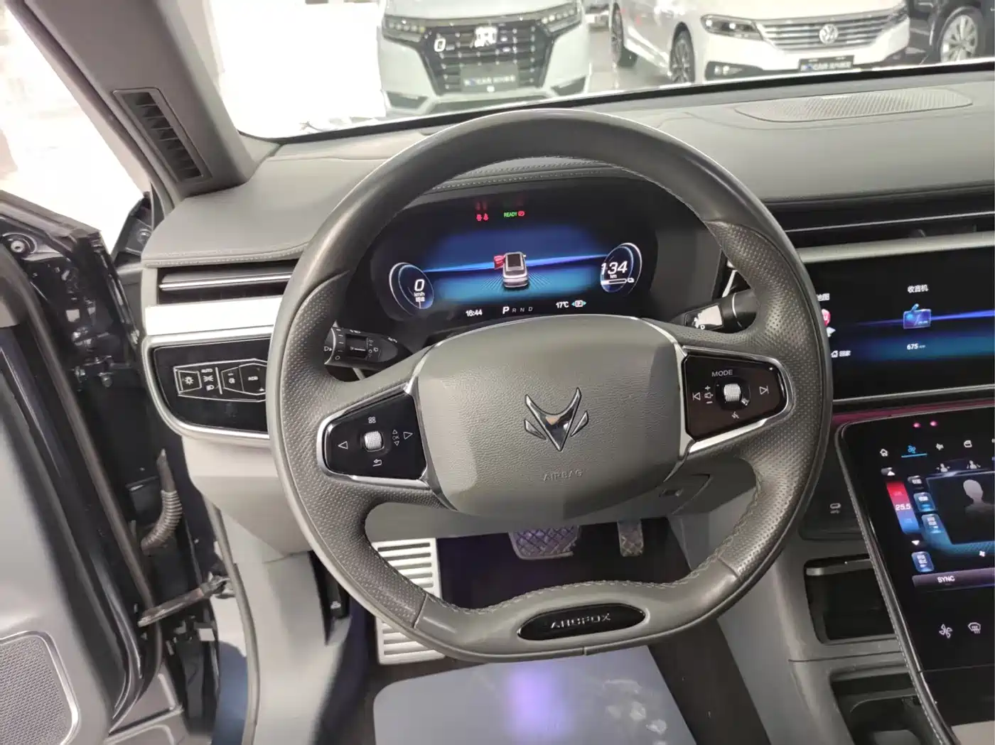 ARCFOX EXTREME FOX POLAR FOX ALPHA T